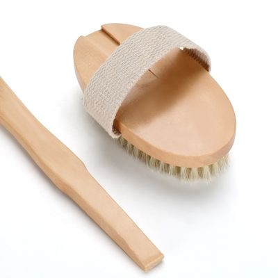 OEM Detachable Long Handle Body Scrub Brush Dry Skin Cellulite Treatment