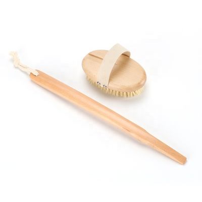 Vegan Sisal Body Dry Brush Detachable Natural Beechwood Long Handle