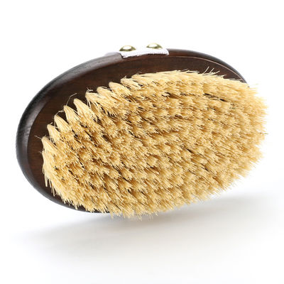 Oval Beech Wood Handle Body Brush r Dry Skin Shower Back Brush