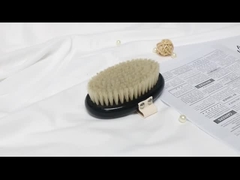 Vegan Dry Body Brush Sisal Agave Cactus Bristles